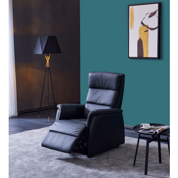 Foto van Sta-op Fauteuil Palma Leder – 2-motorig (3 kleuren)