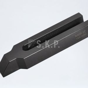 Erel Çatal Pabuçlar