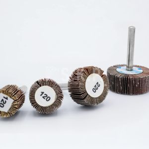6mm Saplı Mop Zımparalar 1