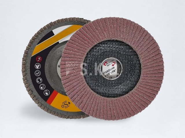 Aslan Zımpara Flap Disk Zımparalar 1