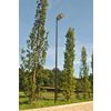 Afbeelding van Lichtmast paardenbak 6m incl. 150W led lamp