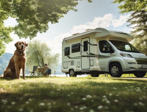 Camper Huren Met Hond: Op Pad Met Je Vierpotige Vriend In Huisdiervriendelijke Campers