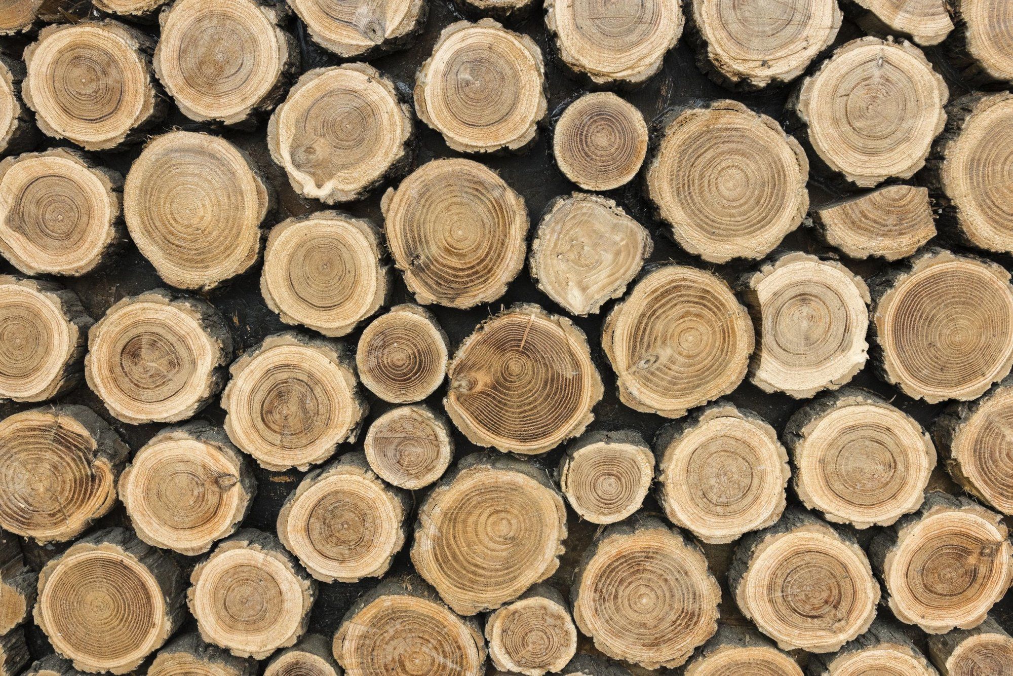 Wereldwijde hout schaarste