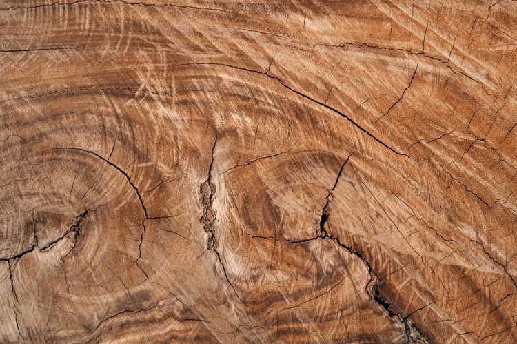 Die Wirkung von Holz