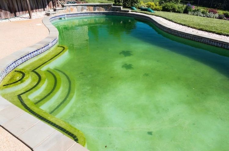 Groen zwembadwater?