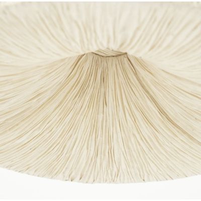 Tweede foto van By Boo - Pendant lamp - Lokta 1