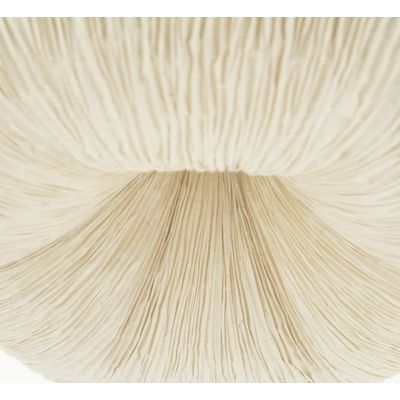 Tweede foto van By Boo - Pendant Lamp - Lokta 3