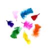 Afbeelding van Veren Klein 120 Stuks Multicolor