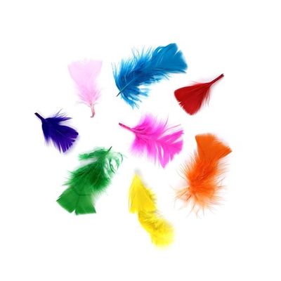 Foto van Veren Klein 120 Stuks Multicolor