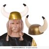Afbeelding van Viking Helm Ragnarok