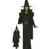 Afbeelding van Heks kostuum Wicked Elphaba