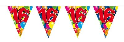 Vlaggenlijn balloons 16 jaar 10M
