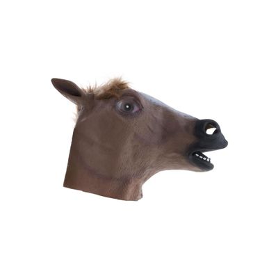 Foto van Masker Paard 