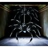 Afbeelding van Spin Hangend en Bewegend met Licht