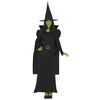 Afbeelding van Heks kostuum Wicked Elphaba