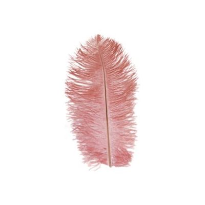 Foto van Struisveer 28-32 cm roze