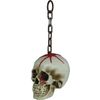 Afbeelding van Schedel Aan Ketting