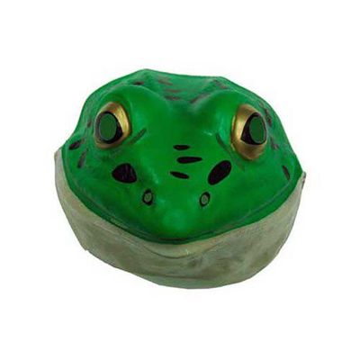Foto van Masker kikker plastic