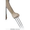 Afbeelding van Wolverine Klauw