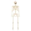 Afbeelding van Decoratie Skelet Skinny
