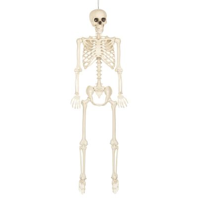 Foto van Decoratie Skelet Skinny