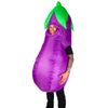 Afbeelding van Carry me opblaasbare Aubergine