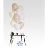 Afbeelding van Ballonen set Nearly Nude