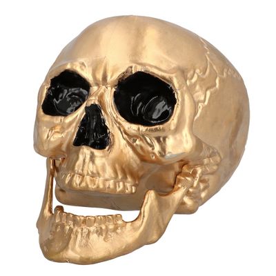 Foto van Gouden Doodskop
