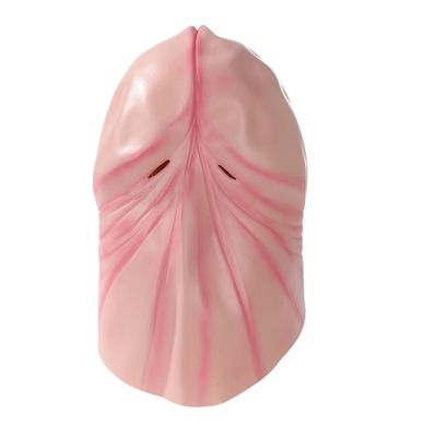 Foto van Penis Masker Latex