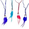 Afbeelding van Ketting western met gekleurde veren