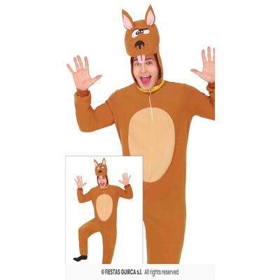 Foto van Scooby Doo Kostuum