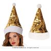 Afbeelding van Kerstmuts Gouden Pailletten