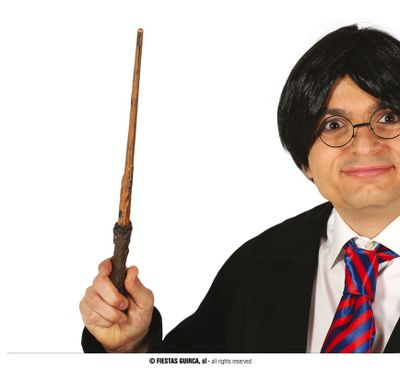 Harry Potter toverstaf Korzol