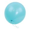 Afbeelding van Balloon vine (5 meter)