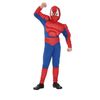 Afbeelding van Gespierd Spiderman pak kind