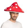 Afbeelding van Paddenstoel Hoed Toad