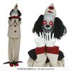 Afbeelding van Clown met Schrikeffect