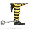 Afbeelding van Loden Bal aan Ketting