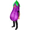 Afbeelding van Carry me opblaasbare Aubergine