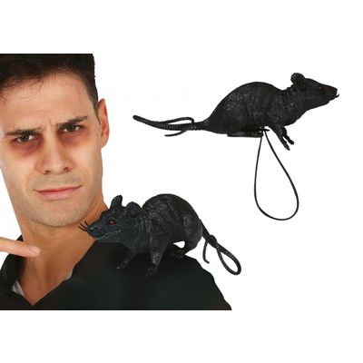 Foto van Zwarte Rat met Elastiek