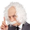 Afbeelding van Einstein Pruik Met Bril En Snor