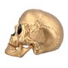 Afbeelding van Gouden Doodskop