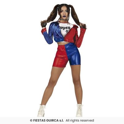 Foto van Harley Quinn Kostuum