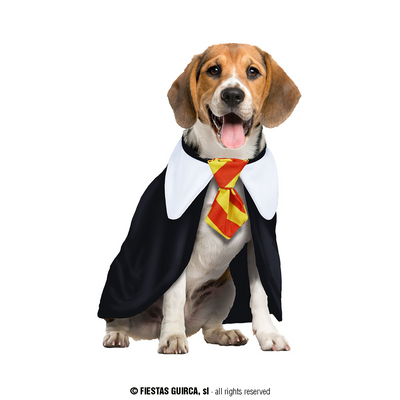 Harry Potter cape hond