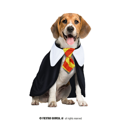 Foto van Harry Potter cape hond