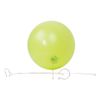Afbeelding van Balloon vine (5 meter)