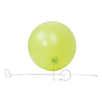Foto van Balloon vine (5 meter)