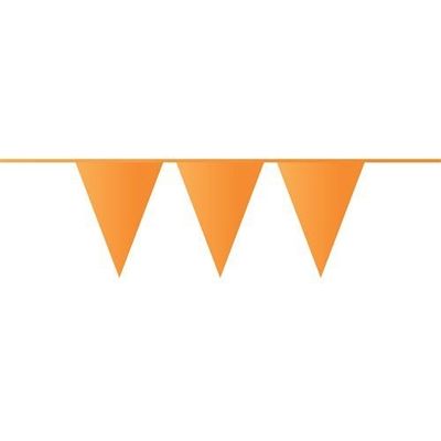 Foto van Vlaggenlijn Oranje 10M