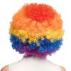 Afbeelding van Afro Pruik Regenboog