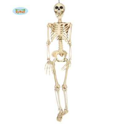 Foto van Halloween decoratie skelet